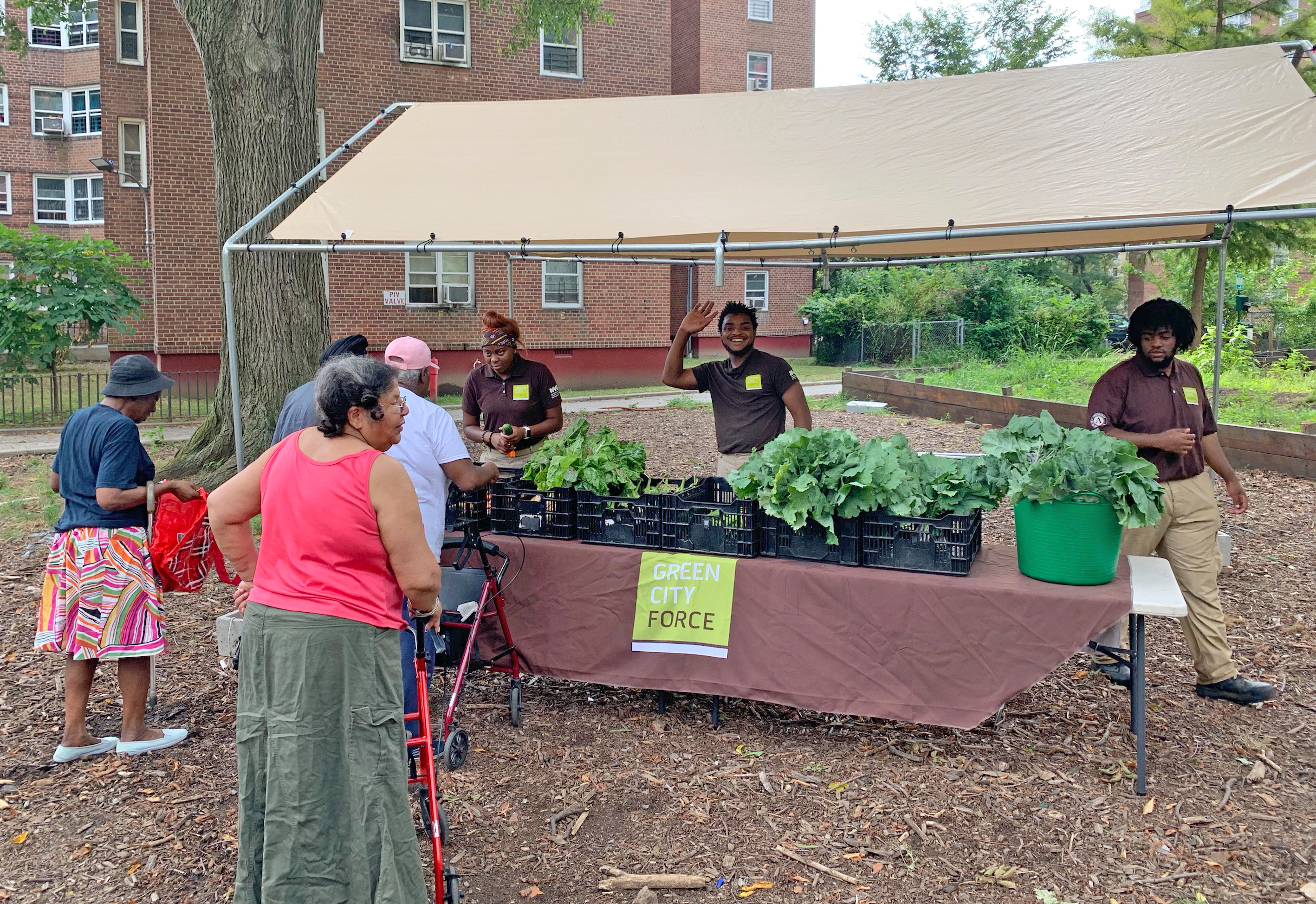 Farms at NYCHA