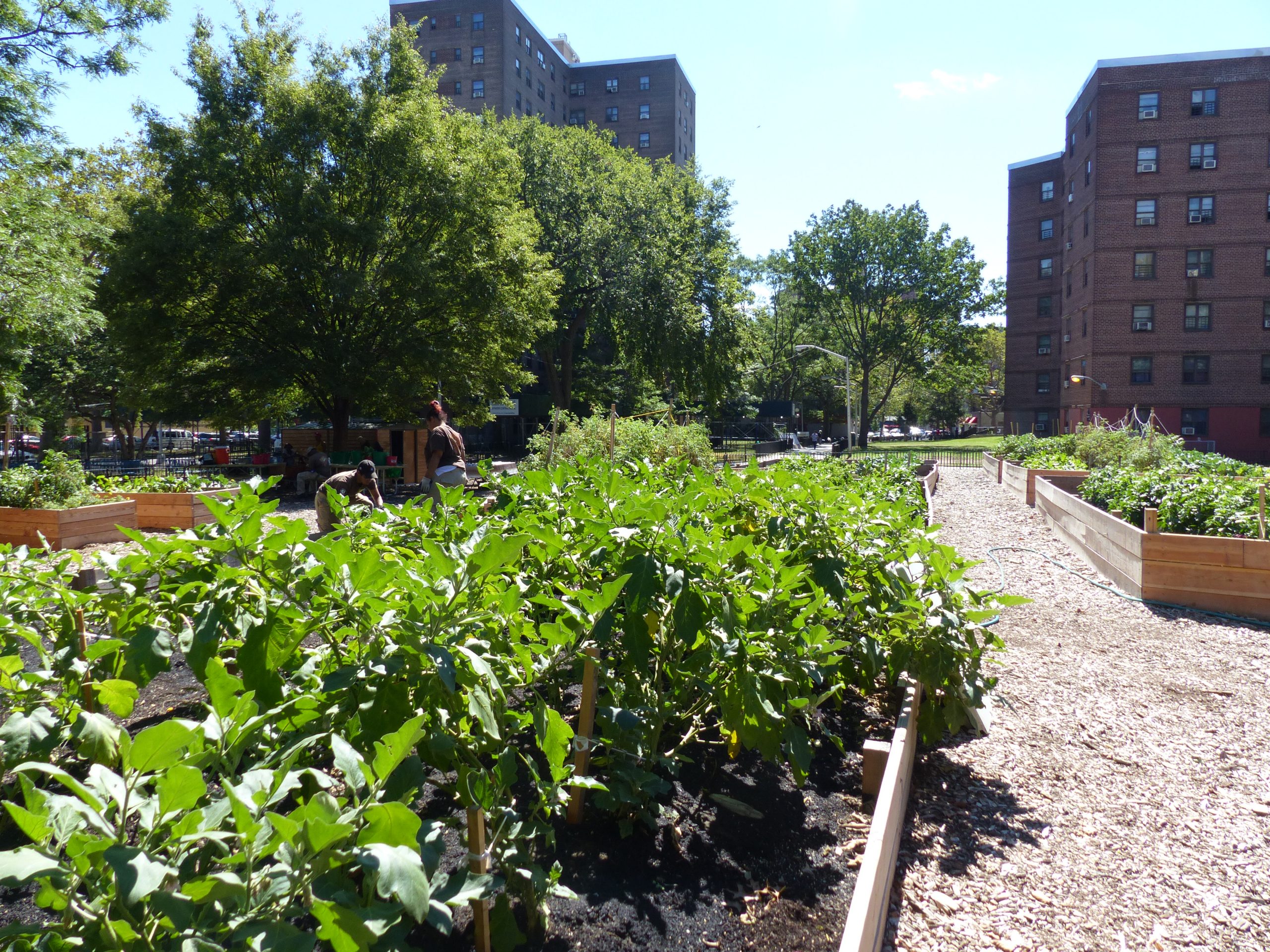 Howard Houses Farm GCF