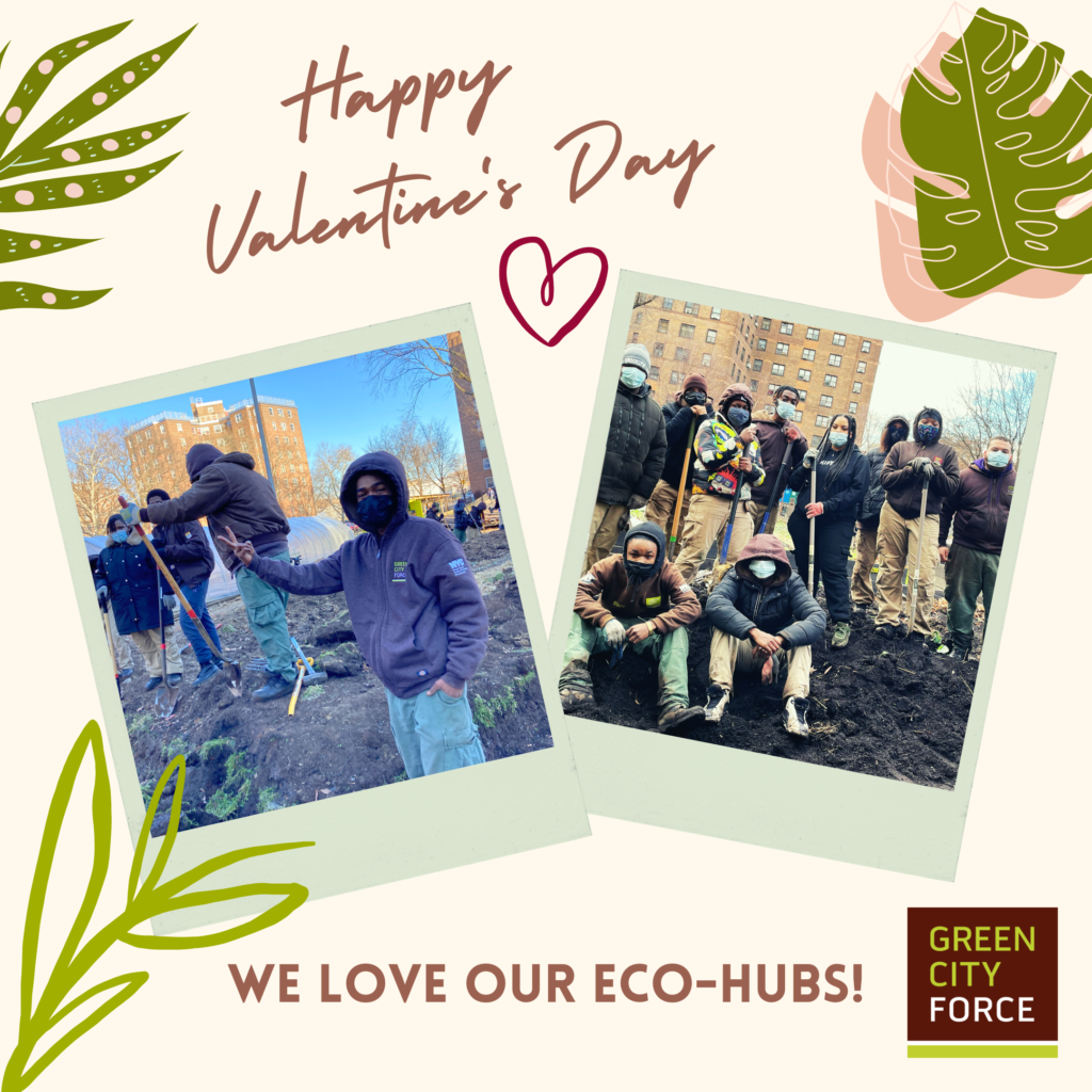 We love our Eco-Hub Sites!