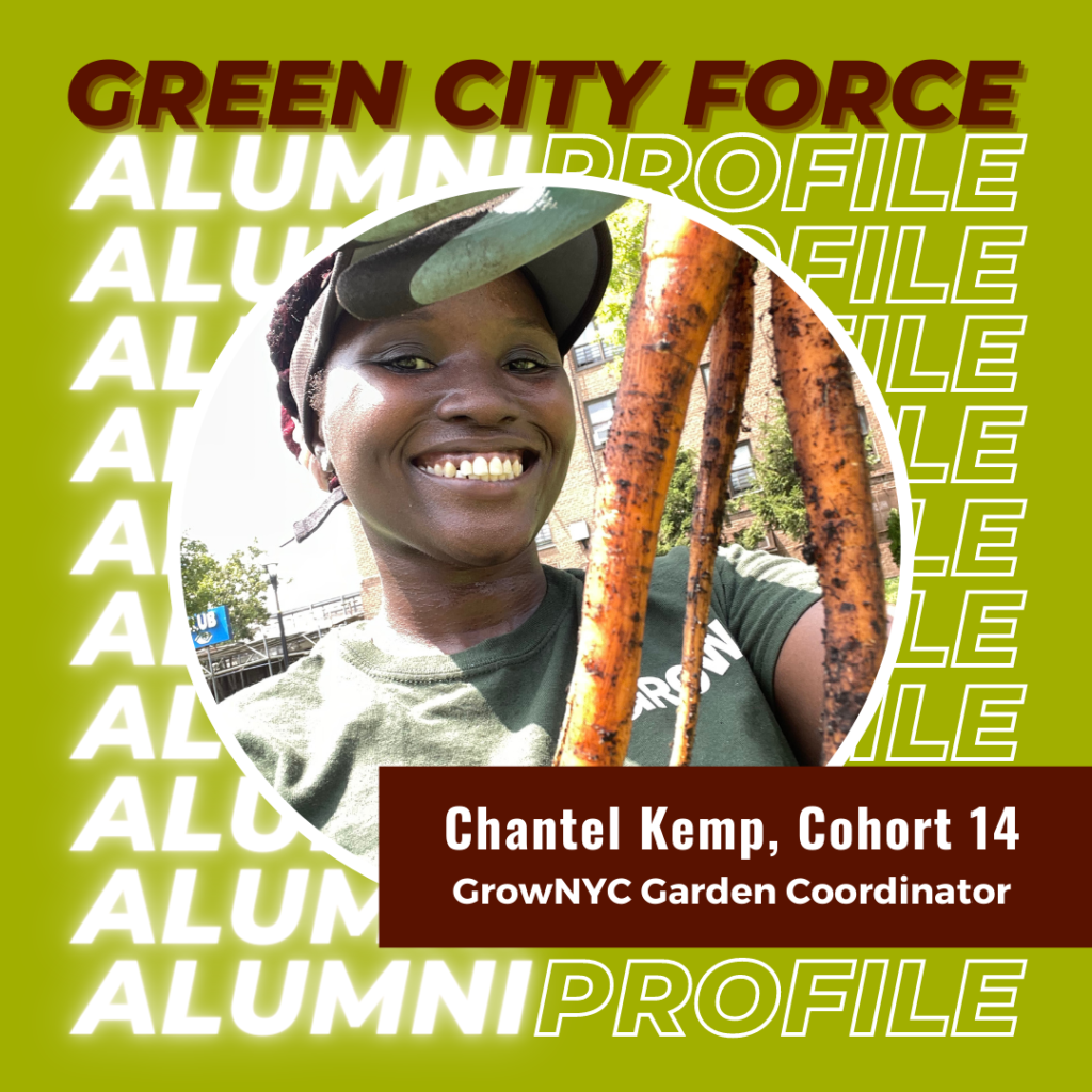 Alumni Profile of the Month: Chantel Kemp