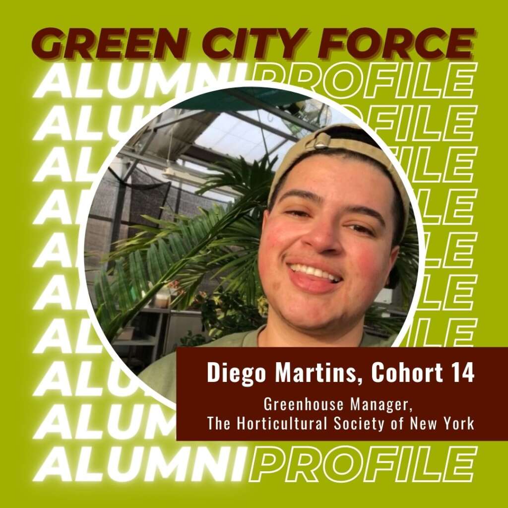 Alumni Profile of the Month: Diego Martins