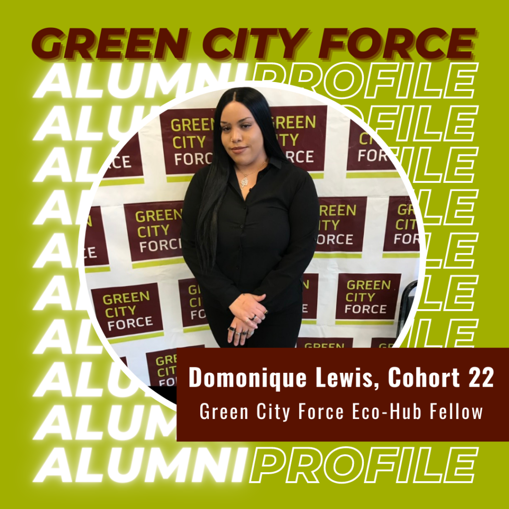 Alumni Profile of the Month: Domonique Lewis