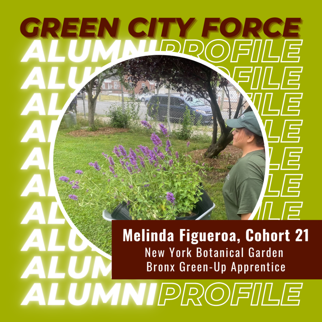 Alumni Profile of the Month: Melinda Figueroa
