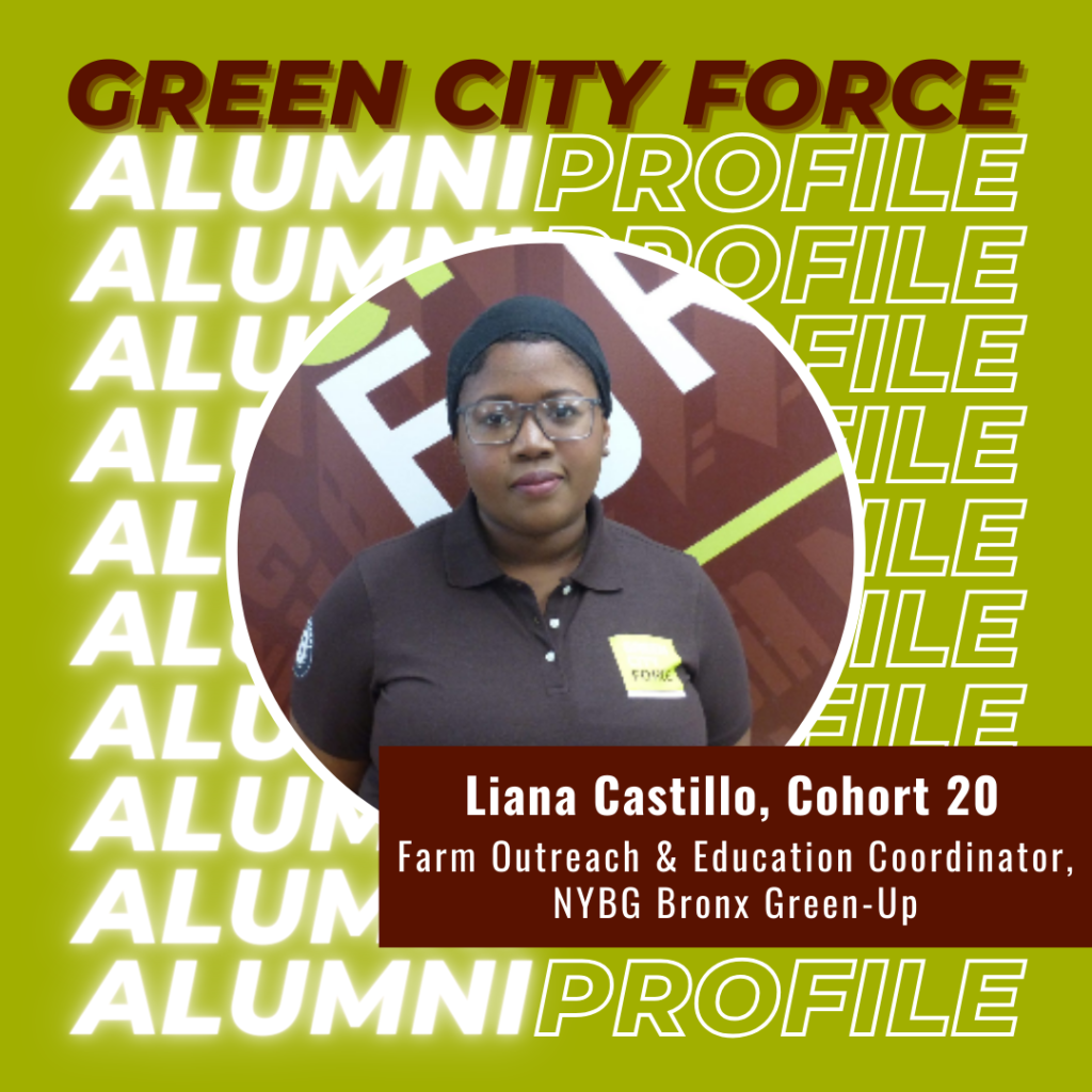 Alumni Profile of the Month: Liana Castillo