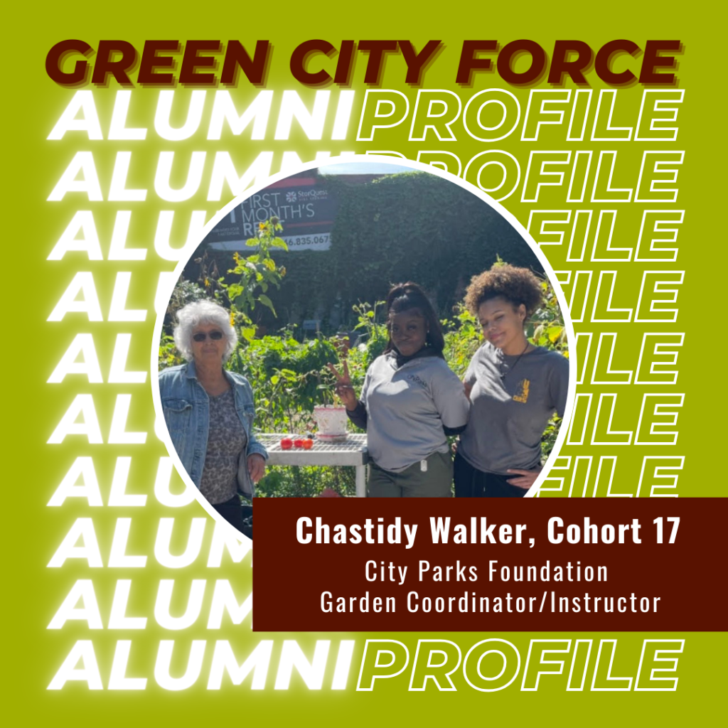 Alumni Profile of the Month: Chastidy Walker
