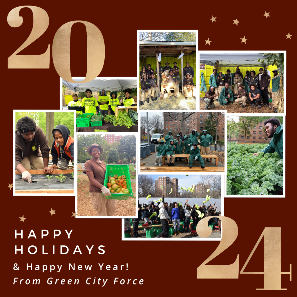 Happy Holidays and Happy New Year from GCF!