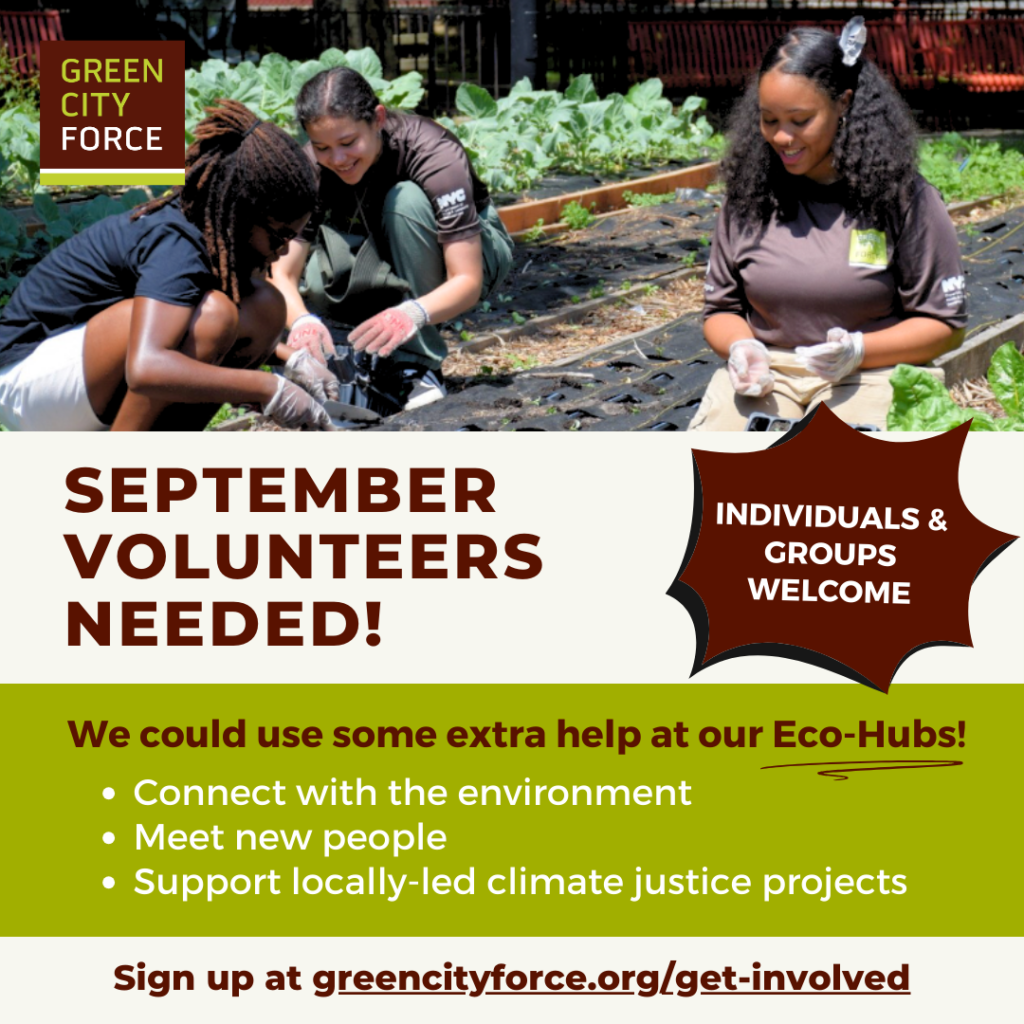 Volunteer with GCF!