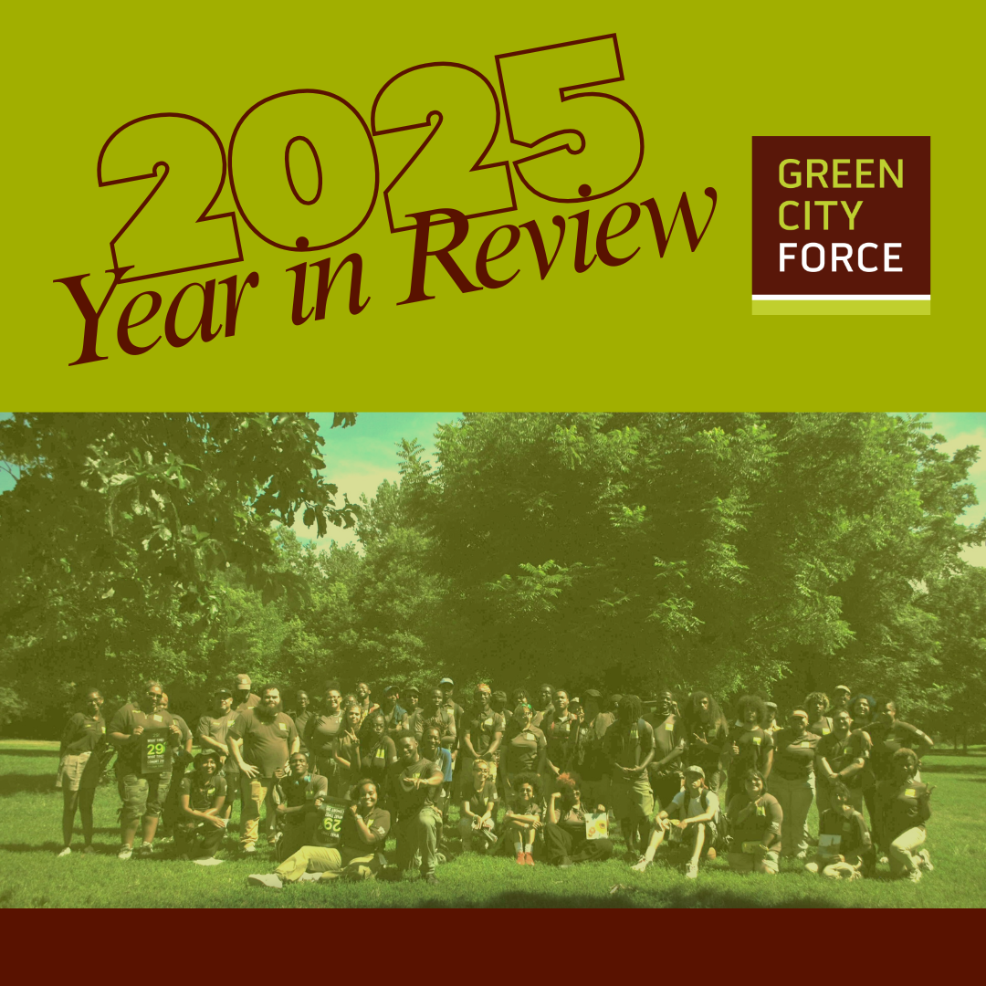 Our Year In Review – We Couldn’t Do It Without You!