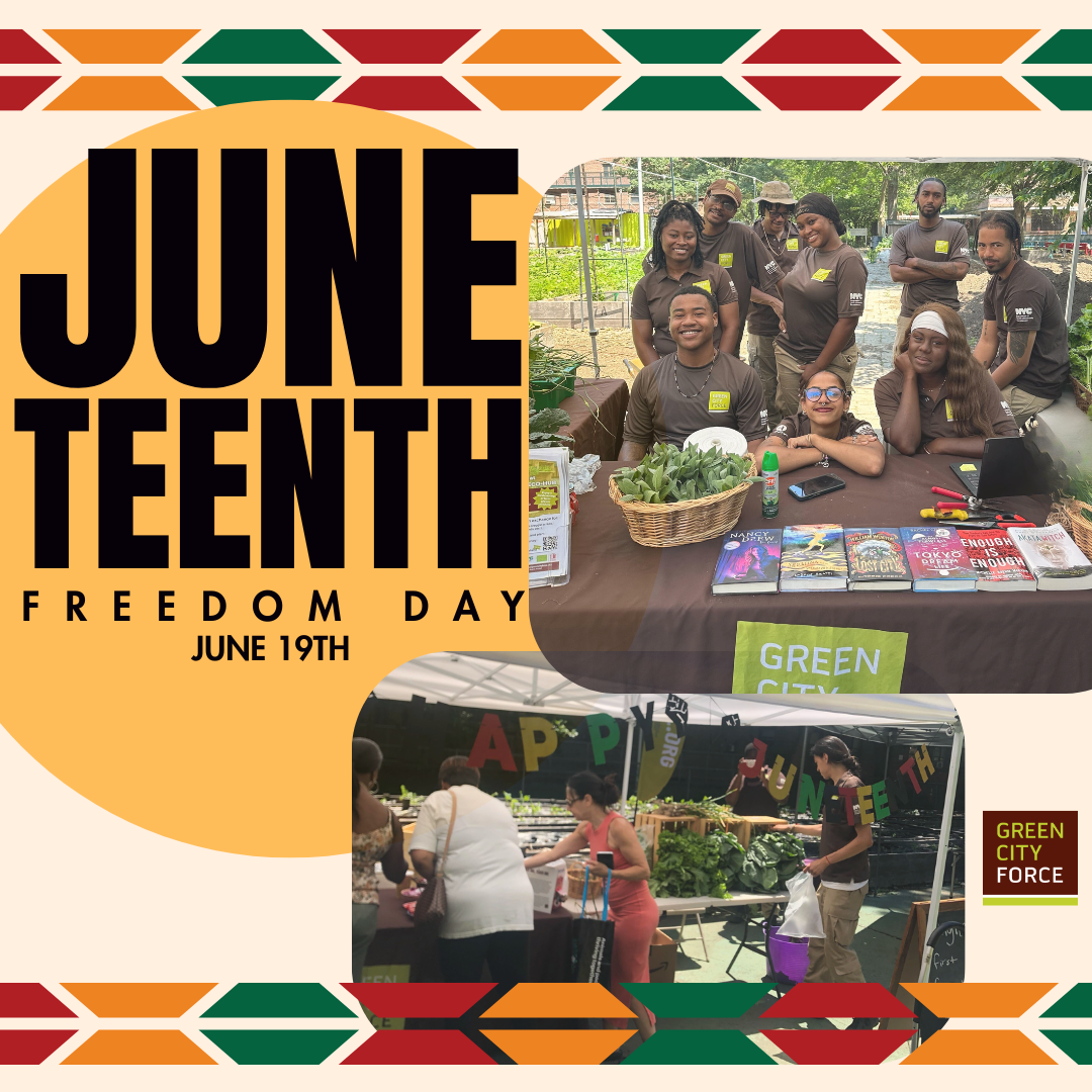 Honoring Juneteenth